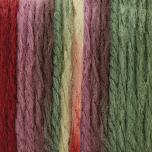 Bernat Softee Chunky Yarn