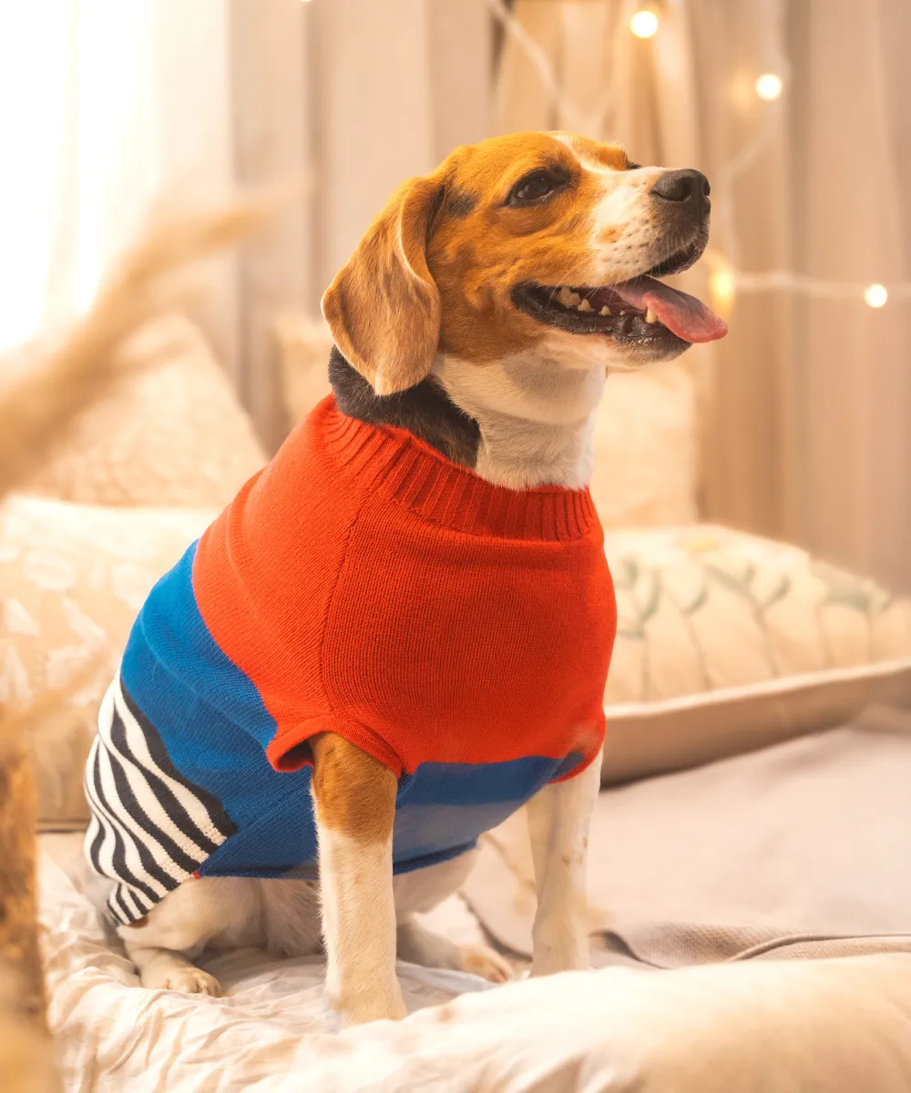 Red-blue Striped Sweater