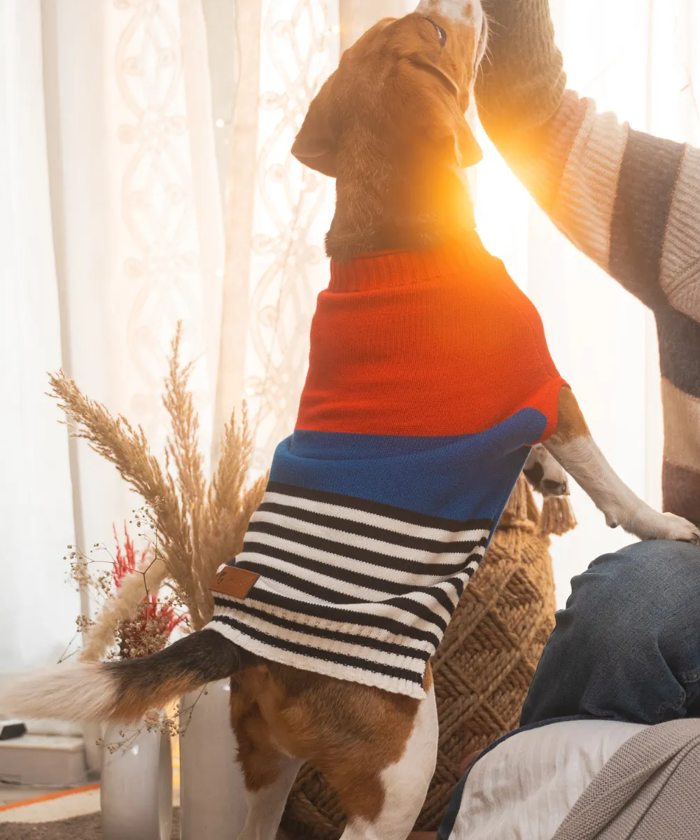 Red-blue Striped Sweater