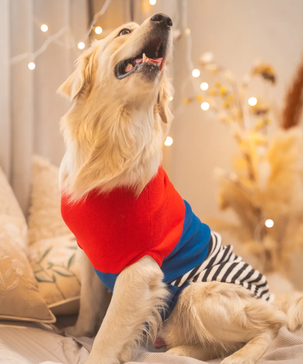 Red-blue Striped Sweater