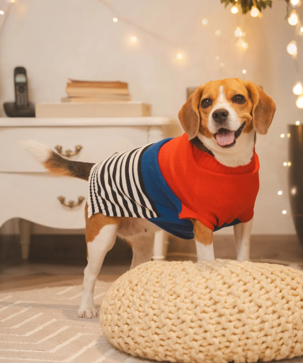 Red-blue Striped Sweater