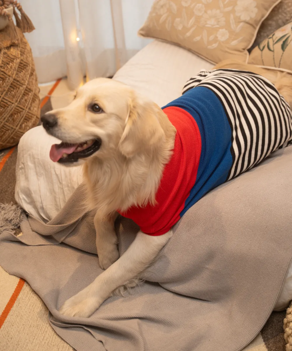 Red-blue Striped Sweater