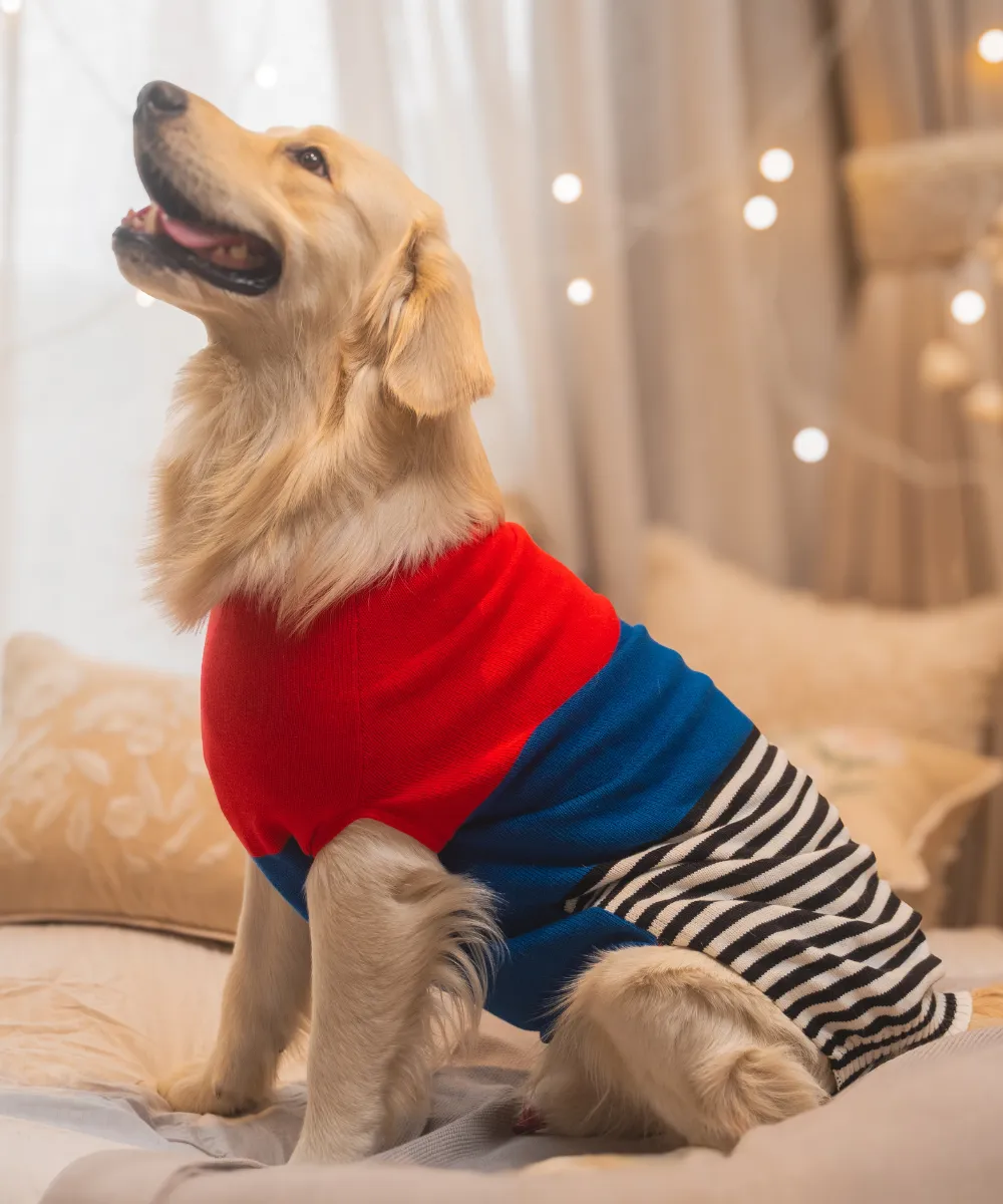 Red-blue Striped Sweater