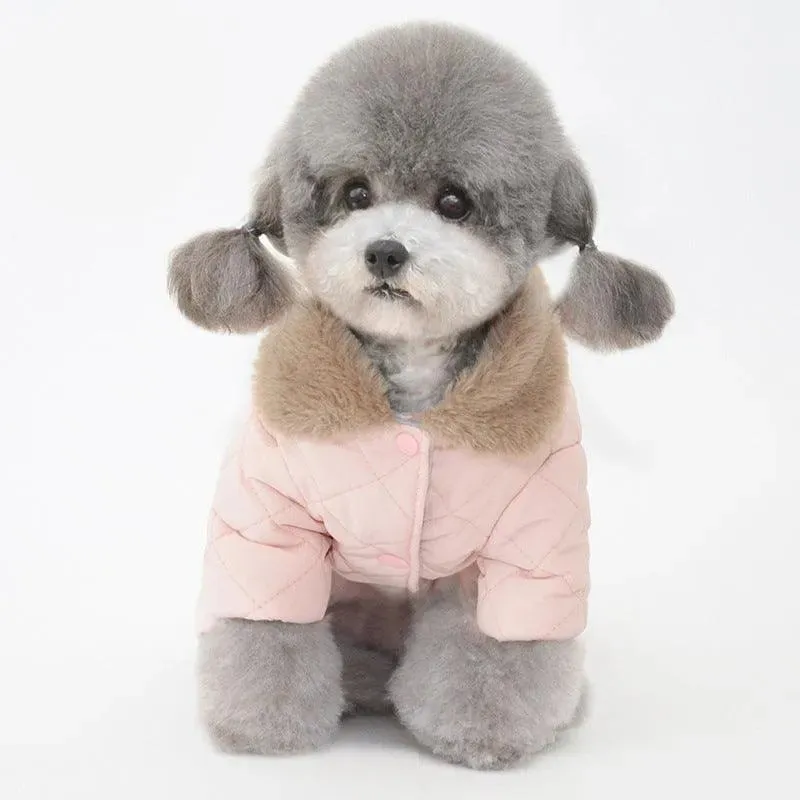 Winter Pet Cotton Coat | Casual Style